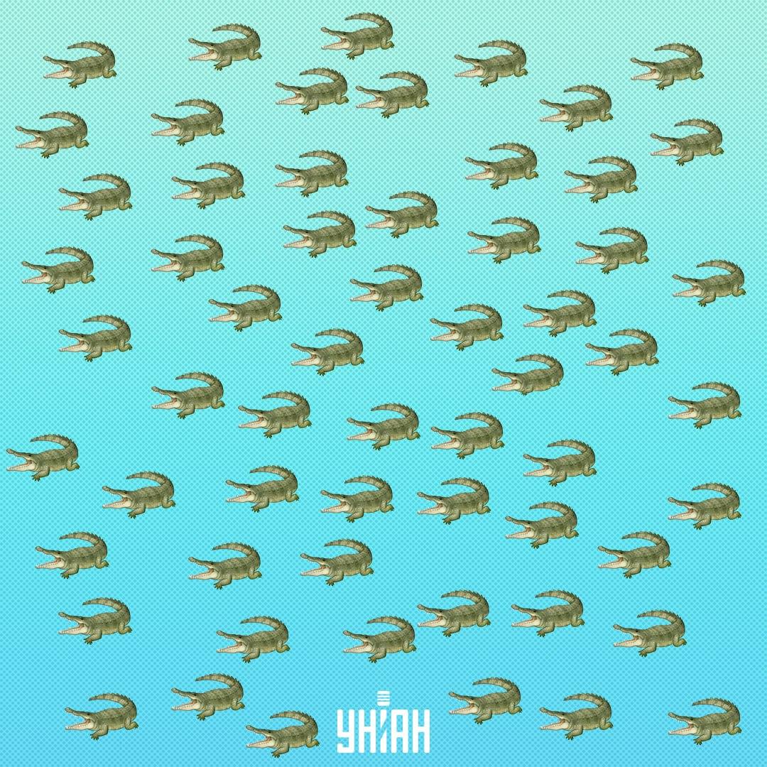 Reptila este ascunsă, dar ar trebui să o vezi în 15 secunde / Colaj Moje