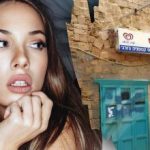 Doar un geniu ar găsi un câine pe stradă în