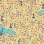 Un puzzle pentru distracție și inventivitate: trebuie să găsești un