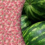 O iluzie optică minunată: doar câțiva vor găsi un pepene